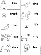 Unscramble Old Lady and the Fly Words