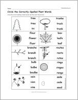Circle the Correctly-Spelled Plant Words