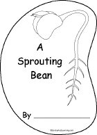 Sprouting Bean Shape Book