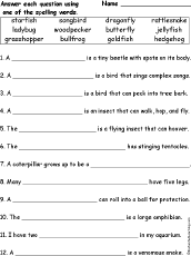 Compound Spelling Word Questions